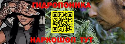 ешки Камышлов