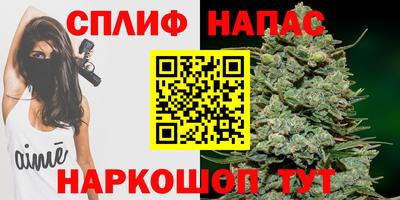 ешки Камышлов