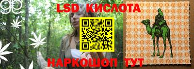 ешки Камышлов